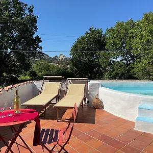 https://agriturismo-il-muto-di-gallura.in-sardinia.net